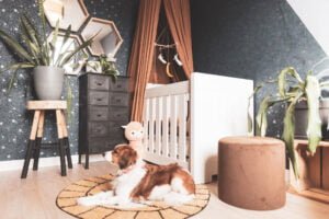 Babykamer jongen